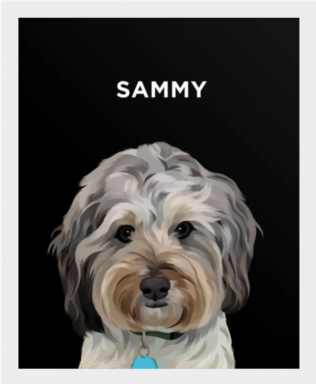 Pawsome Pet Portraits