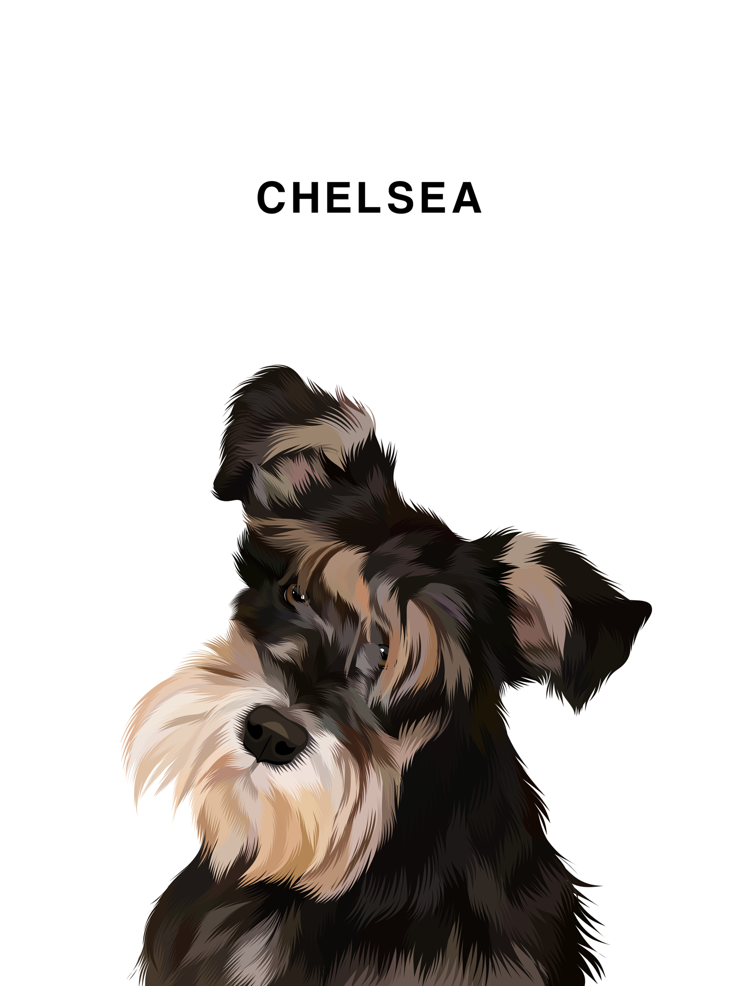 Pawsome Pet Portraits